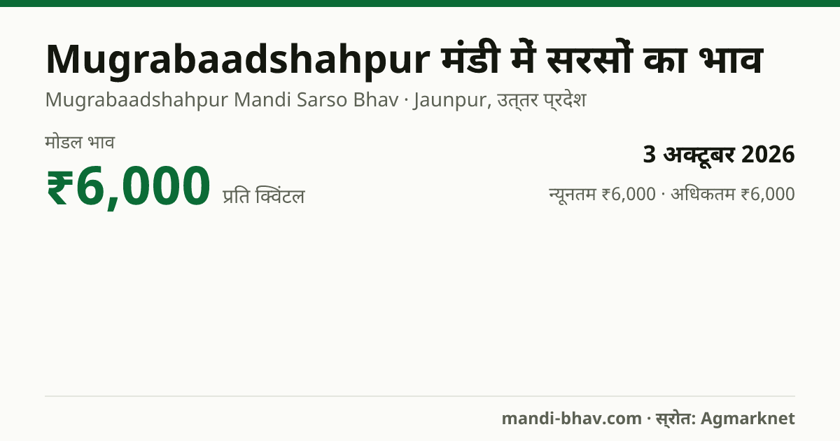 Mugrabaadshahpur मंडी में सरसों का भाव 3 अक्टूबर 2026: मोडल ₹6,000 प्रति क्विंटल, भाव के रुझान का चार्ट