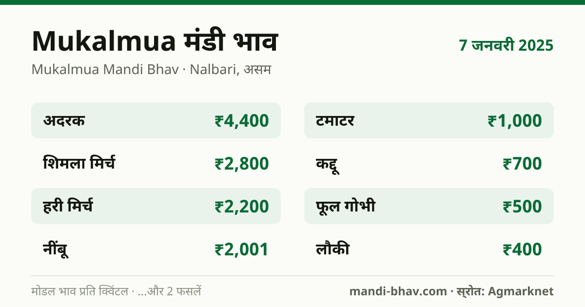 Mukalmua मंडी भाव 7 जनवरी 2025: फसलवार मोडल रेट प्रति क्विंटल