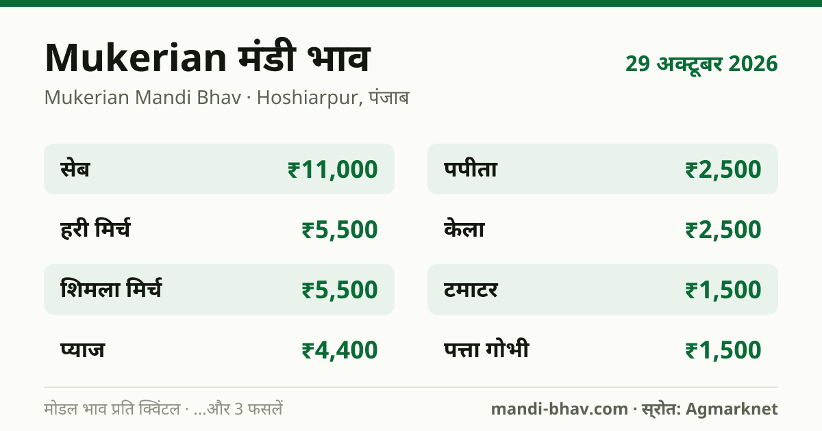 Mukerian मंडी भाव 29 अक्टूबर 2026: फसलवार मोडल रेट प्रति क्विंटल