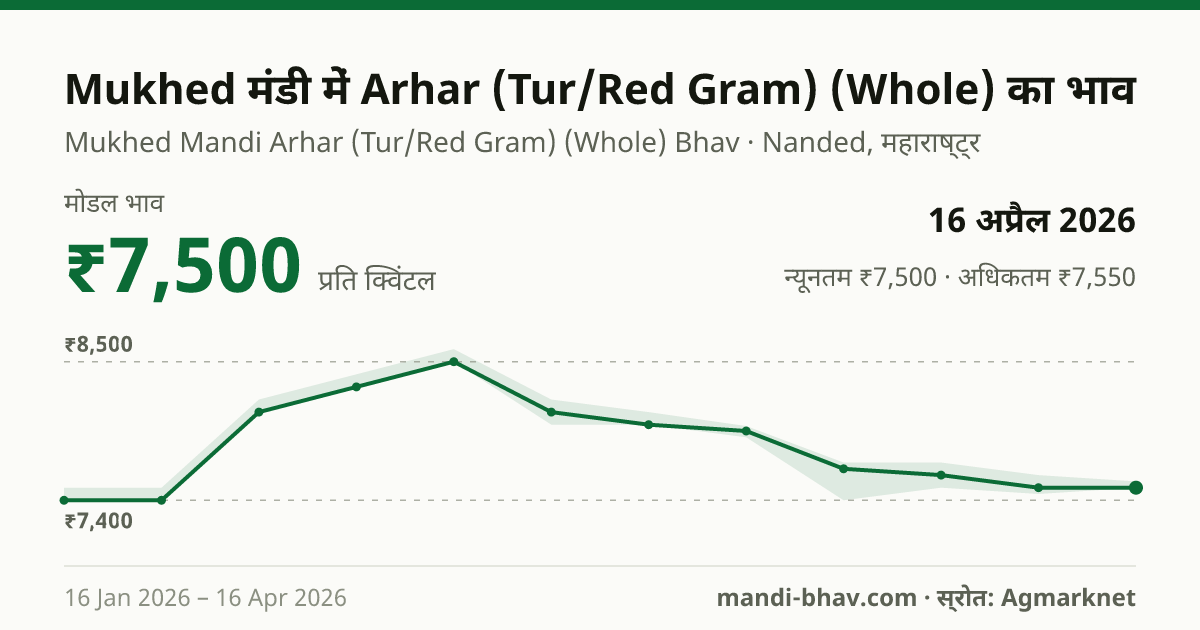 Mukhed मंडी में Arhar (Tur/Red Gram) (Whole) का भाव 16 अप्रैल 2026: मोडल ₹7,500 प्रति क्विंटल, भाव के रुझान का चार्ट