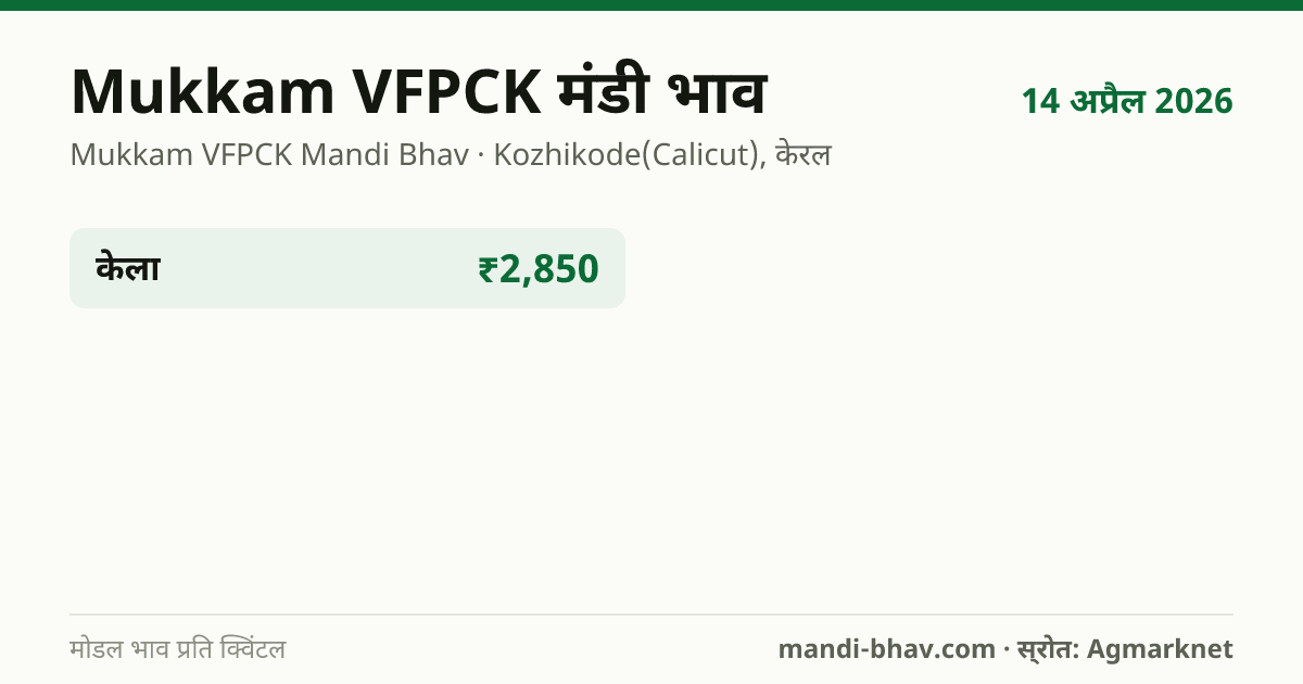 Mukkam VFPCK मंडी भाव 14 अप्रैल 2026: फसलवार मोडल रेट प्रति क्विंटल