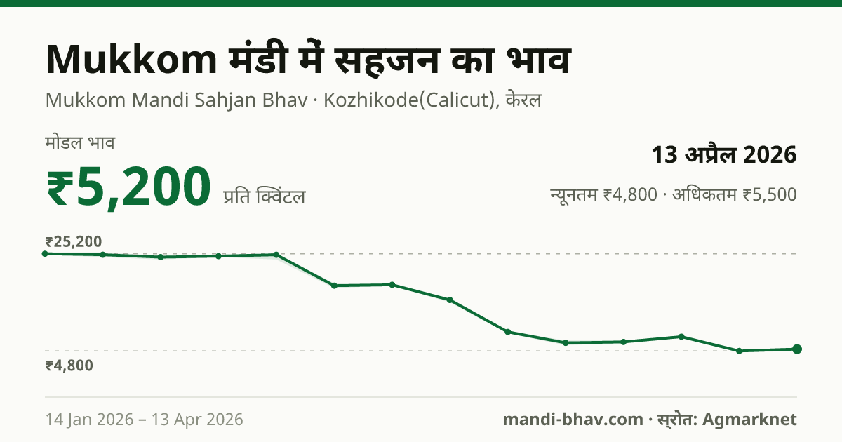 Mukkom मंडी में सहजन का भाव 13 अप्रैल 2026: मोडल ₹5,200 प्रति क्विंटल, भाव के रुझान का चार्ट