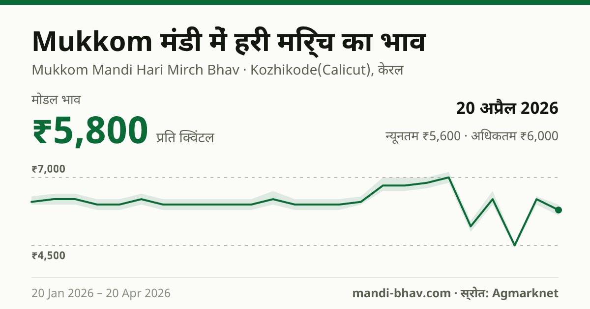 Mukkom मंडी में हरी मिर्च का भाव 20 अप्रैल 2026: मोडल ₹5,800 प्रति क्विंटल, भाव के रुझान का चार्ट