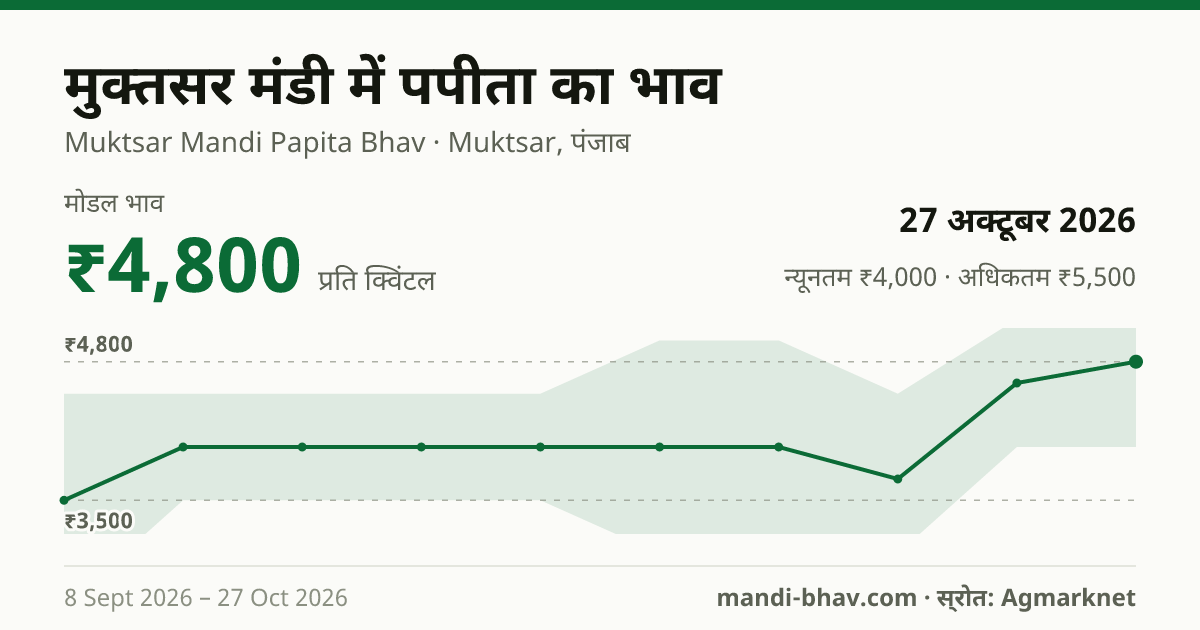 मुक्तसर मंडी में पपीता का भाव 27 अक्टूबर 2026: मोडल ₹4,800 प्रति क्विंटल, भाव के रुझान का चार्ट