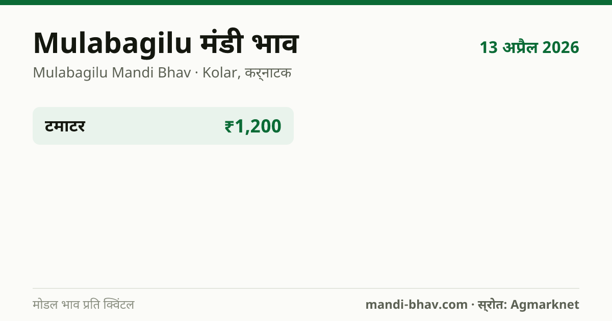 Mulabagilu मंडी भाव 13 अप्रैल 2026: फसलवार मोडल रेट प्रति क्विंटल