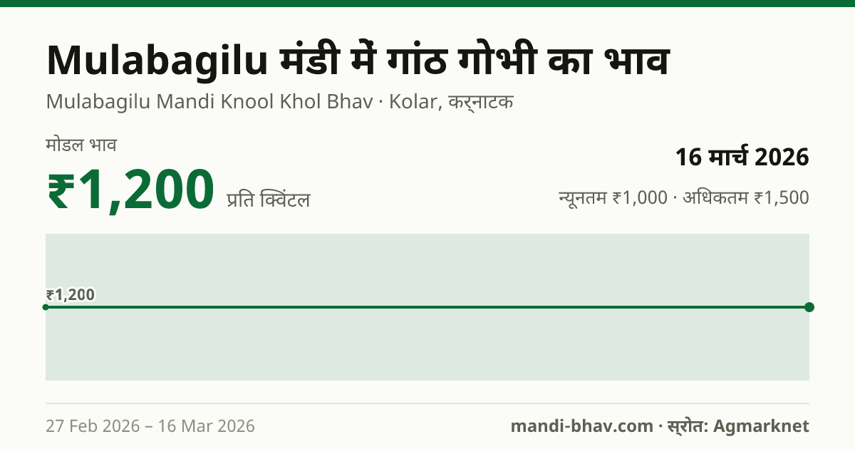 Mulabagilu मंडी में गांठ गोभी का भाव 16 मार्च 2026: मोडल ₹1,200 प्रति क्विंटल, भाव के रुझान का चार्ट