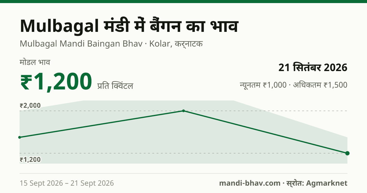 Mulbagal मंडी में बैंगन का भाव 21 सितंबर 2026: मोडल ₹1,200 प्रति क्विंटल, भाव के रुझान का चार्ट