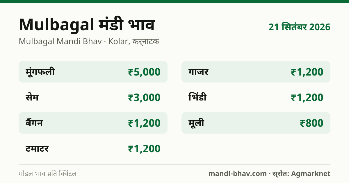 Mulbagal मंडी भाव 21 सितंबर 2026: फसलवार मोडल रेट प्रति क्विंटल