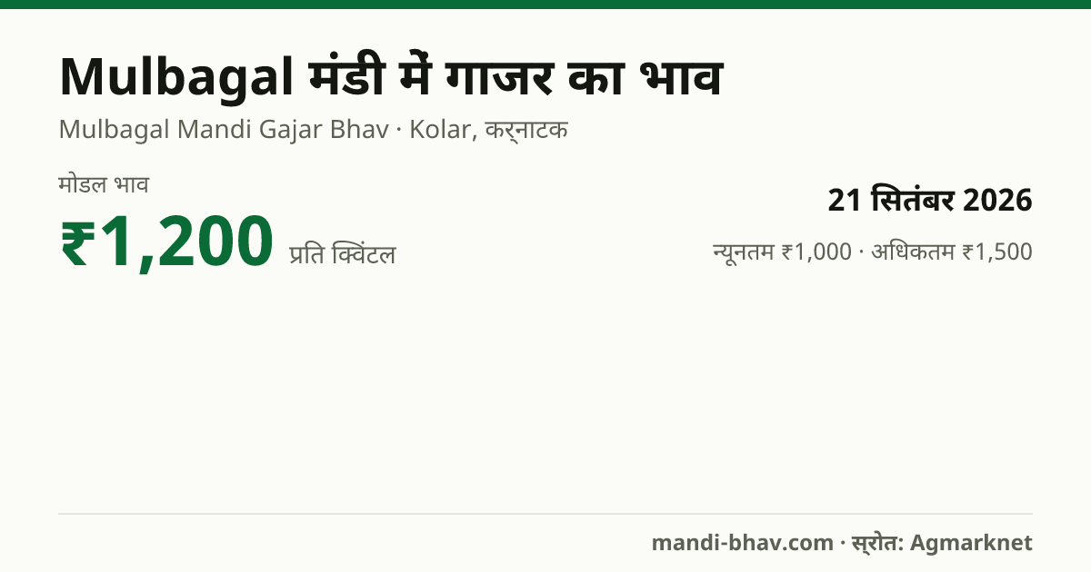 Mulbagal मंडी में गाजर का भाव 21 सितंबर 2026: मोडल ₹1,200 प्रति क्विंटल, भाव के रुझान का चार्ट