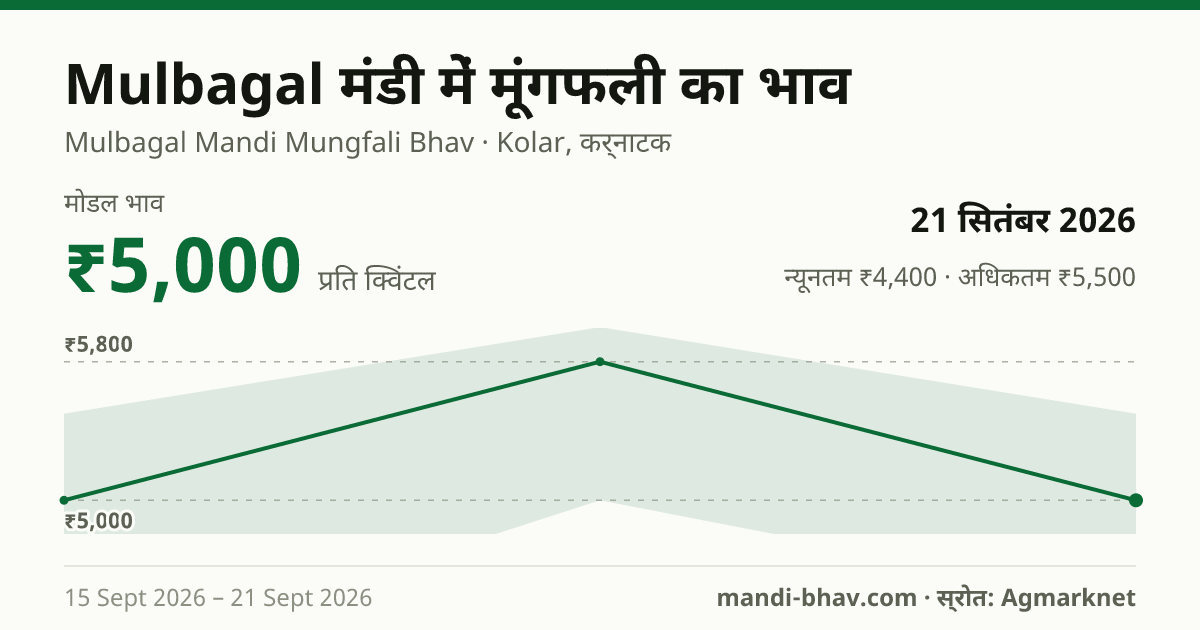 Mulbagal मंडी में मूंगफली का भाव 21 सितंबर 2026: मोडल ₹5,000 प्रति क्विंटल, भाव के रुझान का चार्ट