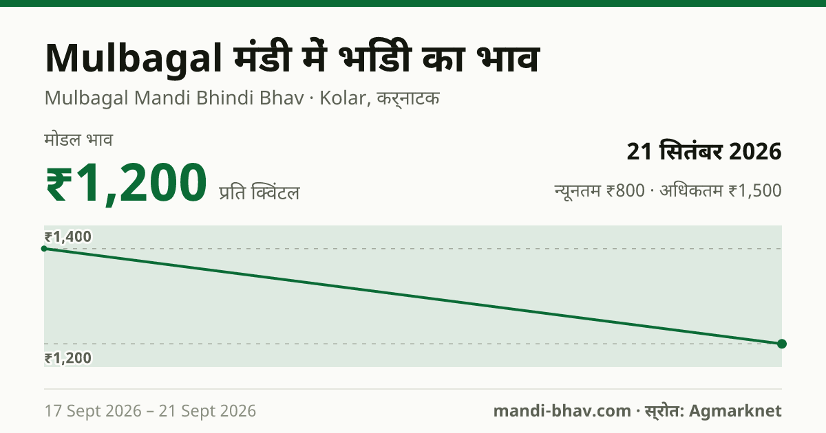 Mulbagal मंडी में भिंडी का भाव 21 सितंबर 2026: मोडल ₹1,200 प्रति क्विंटल, भाव के रुझान का चार्ट