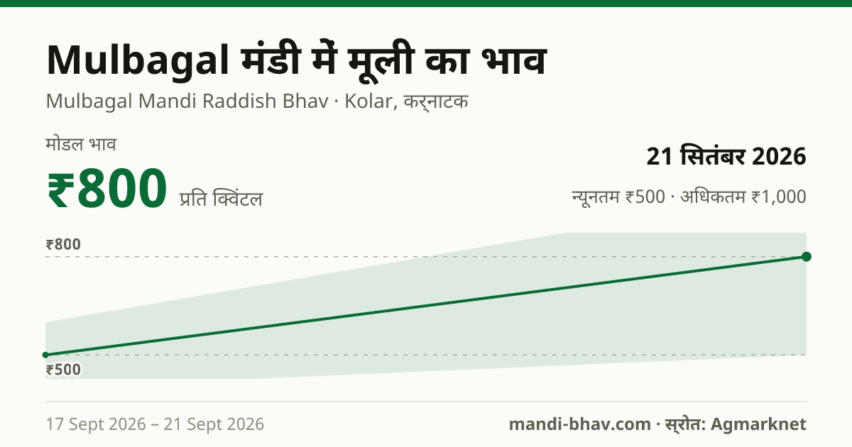 Mulbagal मंडी में मूली का भाव 21 सितंबर 2026: मोडल ₹800 प्रति क्विंटल, भाव के रुझान का चार्ट