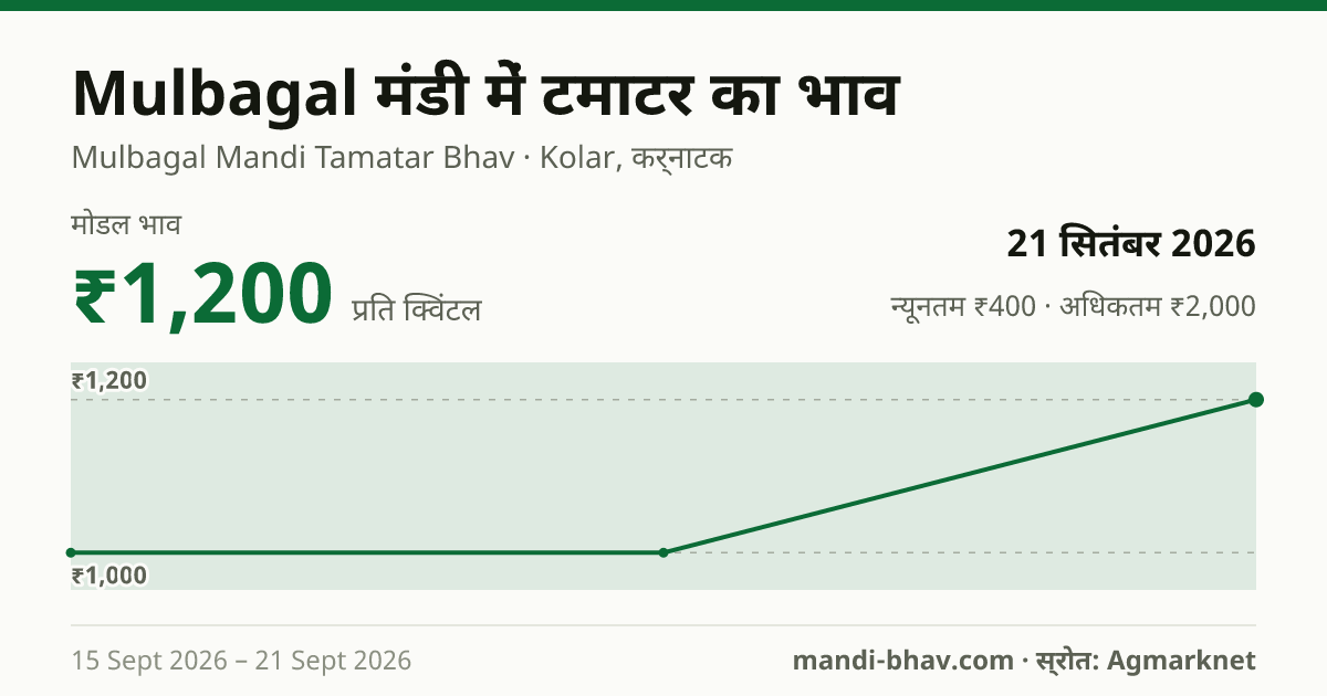 Mulbagal मंडी में टमाटर का भाव 21 सितंबर 2026: मोडल ₹1,200 प्रति क्विंटल, भाव के रुझान का चार्ट
