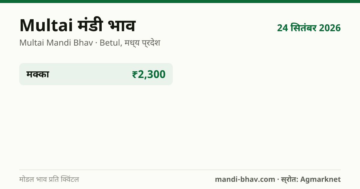 Multai मंडी भाव 24 सितंबर 2026: फसलवार मोडल रेट प्रति क्विंटल