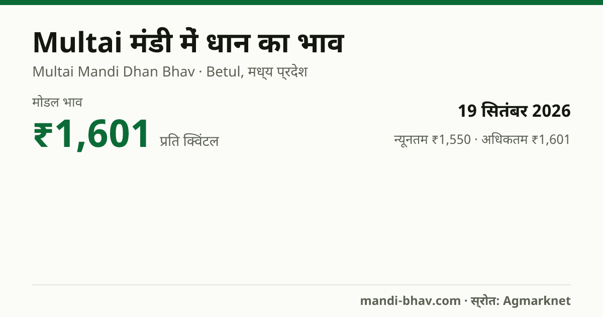 Multai मंडी में धान का भाव 19 सितंबर 2026: मोडल ₹1,601 प्रति क्विंटल, भाव के रुझान का चार्ट