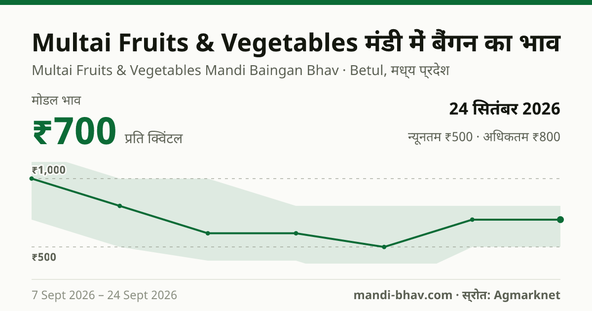 Multai Fruits & Vegetables मंडी में बैंगन का भाव 24 सितंबर 2026: मोडल ₹700 प्रति क्विंटल, भाव के रुझान का चार्ट