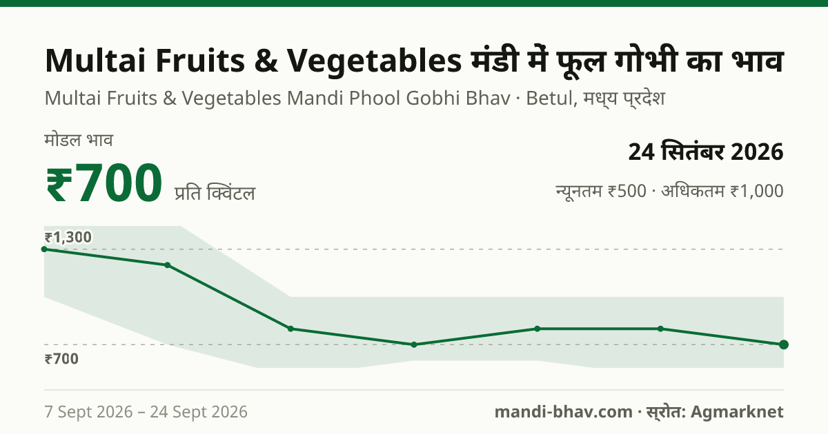 Multai Fruits & Vegetables मंडी में फूल गोभी का भाव 24 सितंबर 2026: मोडल ₹700 प्रति क्विंटल, भाव के रुझान का चार्ट