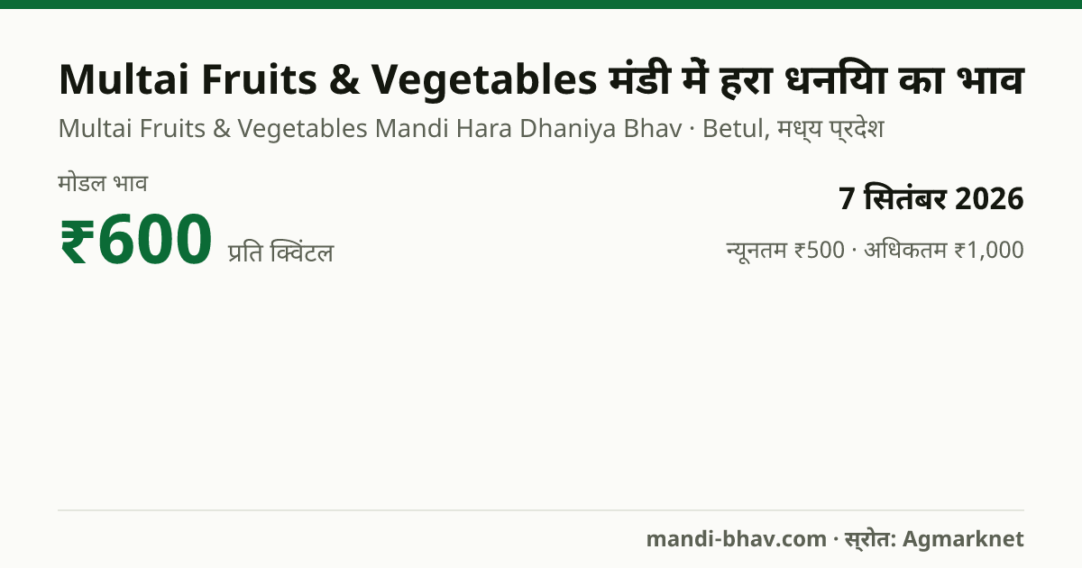 Multai Fruits & Vegetables मंडी में हरा धनिया का भाव 7 सितंबर 2026: मोडल ₹600 प्रति क्विंटल, भाव के रुझान का चार्ट