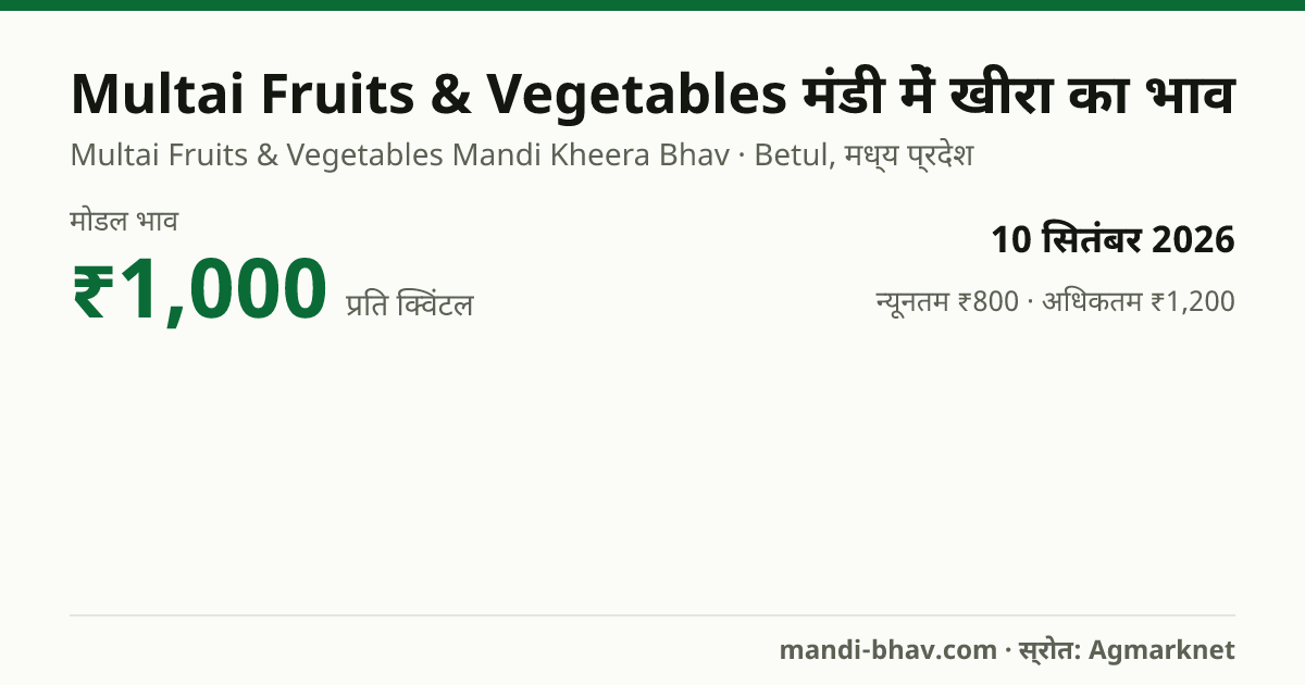 Multai Fruits & Vegetables मंडी में खीरा का भाव 10 सितंबर 2026: मोडल ₹1,000 प्रति क्विंटल, भाव के रुझान का चार्ट