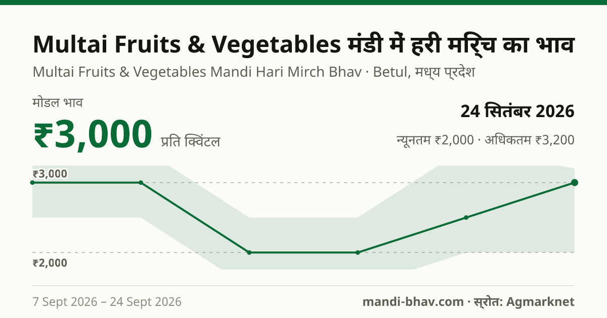 Multai Fruits & Vegetables मंडी में हरी मिर्च का भाव 24 सितंबर 2026: मोडल ₹3,000 प्रति क्विंटल, भाव के रुझान का चार्ट