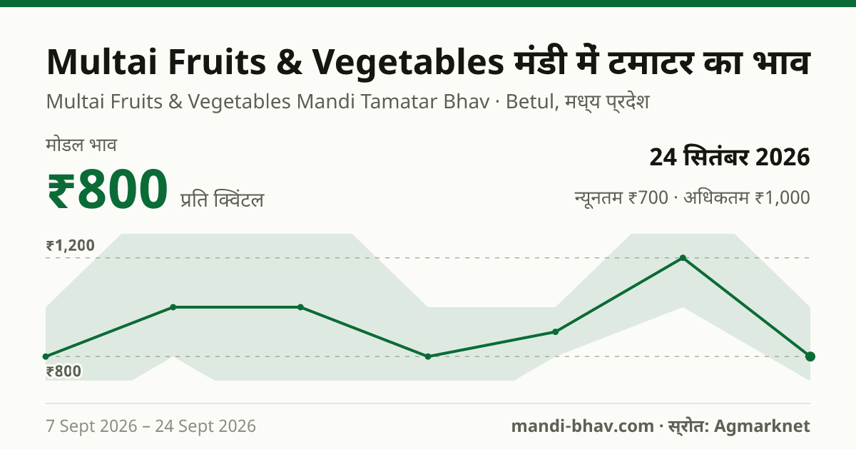 Multai Fruits & Vegetables मंडी में टमाटर का भाव 24 सितंबर 2026: मोडल ₹800 प्रति क्विंटल, भाव के रुझान का चार्ट