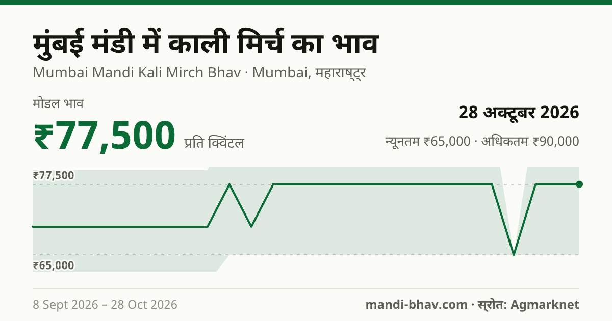 मुंबई मंडी में काली मिर्च का भाव 28 अक्टूबर 2026: मोडल ₹77,500 प्रति क्विंटल, भाव के रुझान का चार्ट