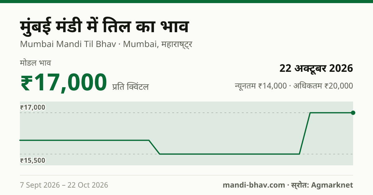 मुंबई मंडी में तिल का भाव 22 अक्टूबर 2026: मोडल ₹17,000 प्रति क्विंटल, भाव के रुझान का चार्ट