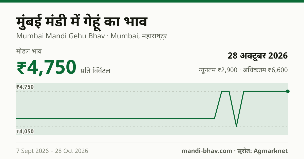 मुंबई मंडी में गेहूं का भाव 28 अक्टूबर 2026: मोडल ₹4,750 प्रति क्विंटल, भाव के रुझान का चार्ट
