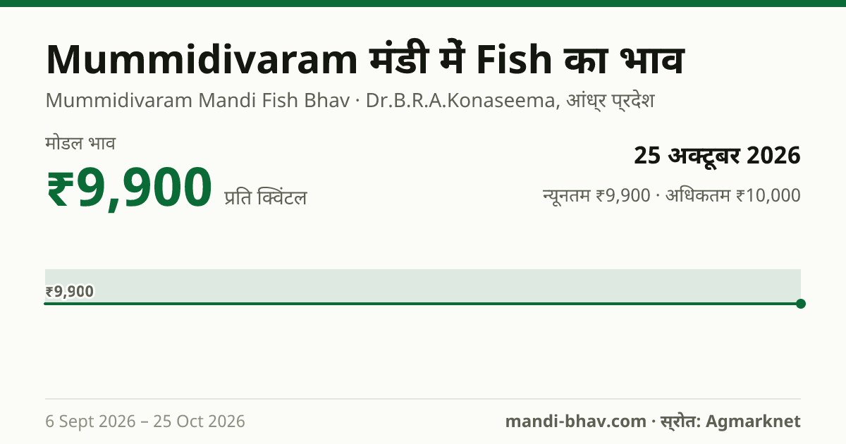 Mummidivaram मंडी में Fish का भाव 25 अक्टूबर 2026: मोडल ₹9,900 प्रति क्विंटल, भाव के रुझान का चार्ट