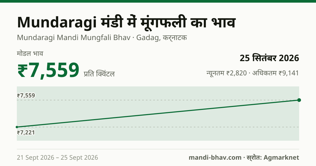 Mundaragi मंडी में मूंगफली का भाव 25 सितंबर 2026: मोडल ₹7,559 प्रति क्विंटल, भाव के रुझान का चार्ट