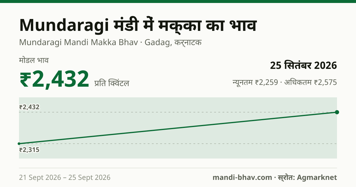 Mundaragi मंडी में मक्का का भाव 25 सितंबर 2026: मोडल ₹2,432 प्रति क्विंटल, भाव के रुझान का चार्ट
