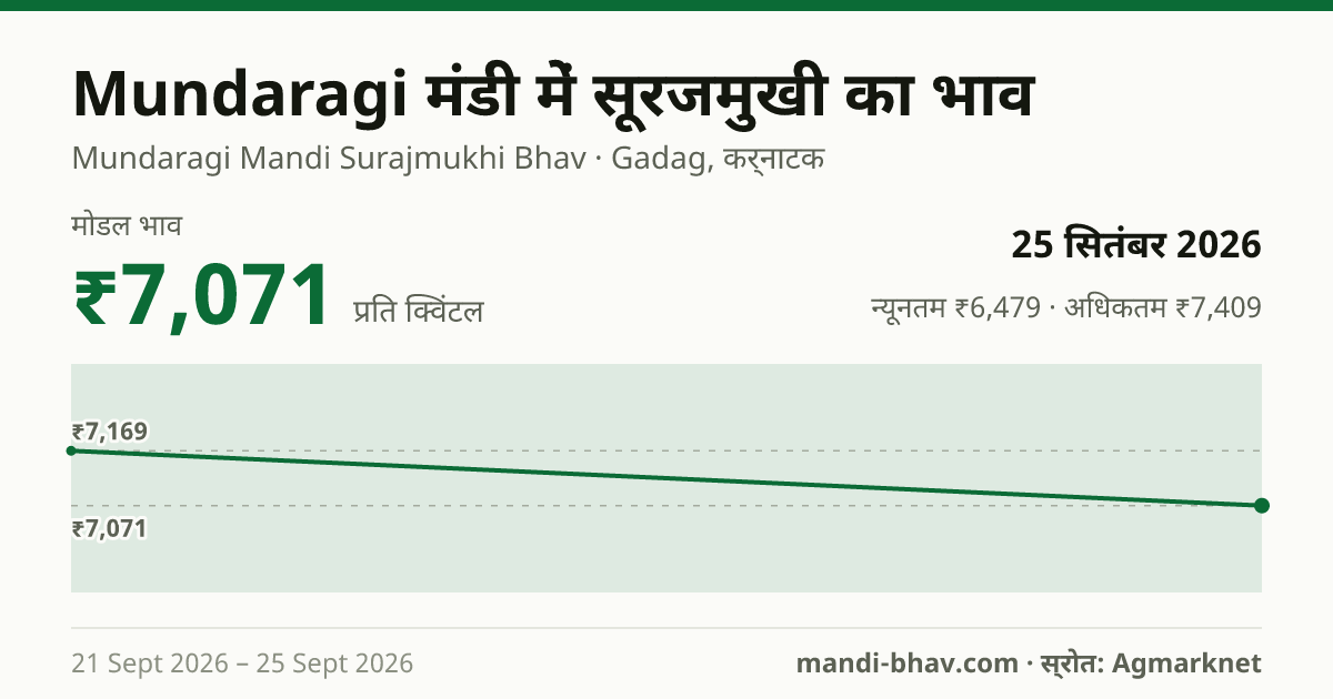 Mundaragi मंडी में सूरजमुखी का भाव 25 सितंबर 2026: मोडल ₹7,071 प्रति क्विंटल, भाव के रुझान का चार्ट