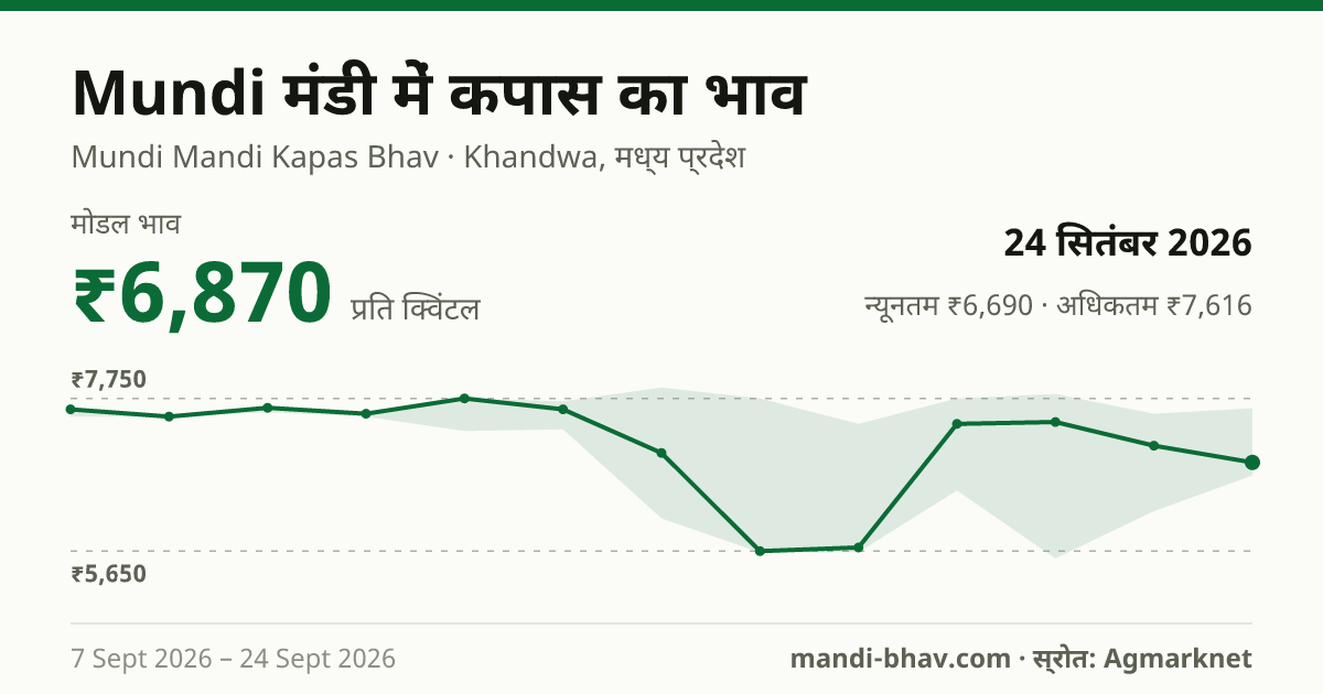 Mundi मंडी में कपास का भाव 24 सितंबर 2026: मोडल ₹6,870 प्रति क्विंटल, भाव के रुझान का चार्ट