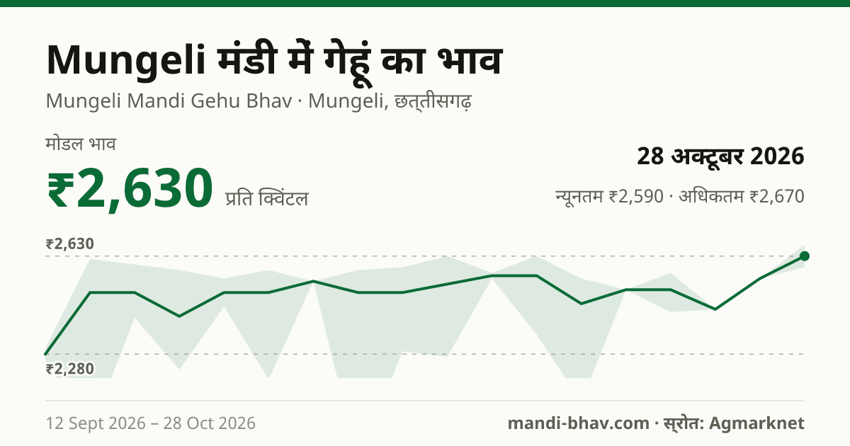 Mungeli मंडी में गेहूं का भाव 28 अक्टूबर 2026: मोडल ₹2,630 प्रति क्विंटल, भाव के रुझान का चार्ट