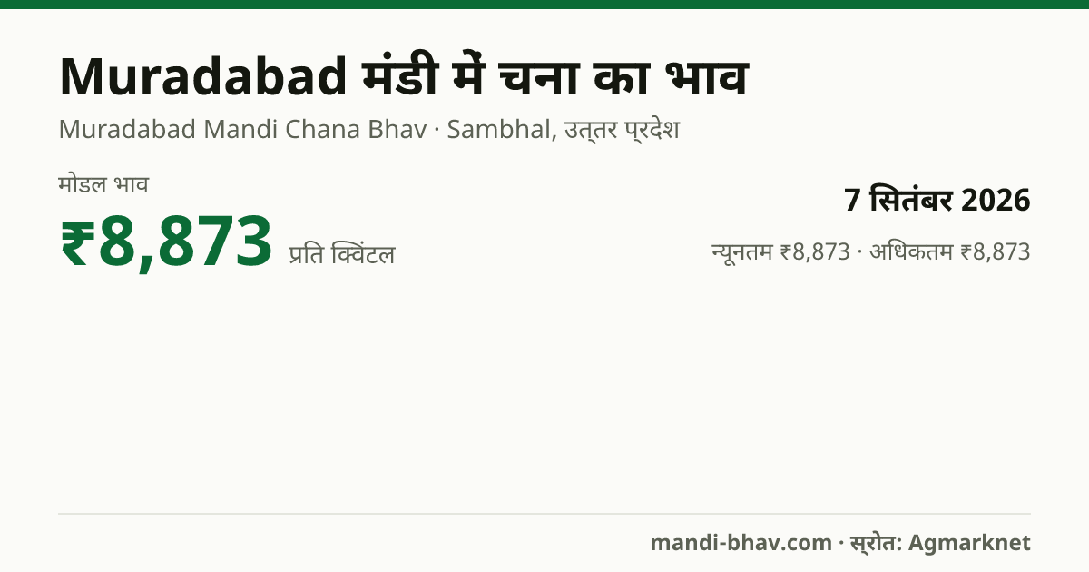 Muradabad मंडी में चना का भाव 7 सितंबर 2026: मोडल ₹8,873 प्रति क्विंटल, भाव के रुझान का चार्ट