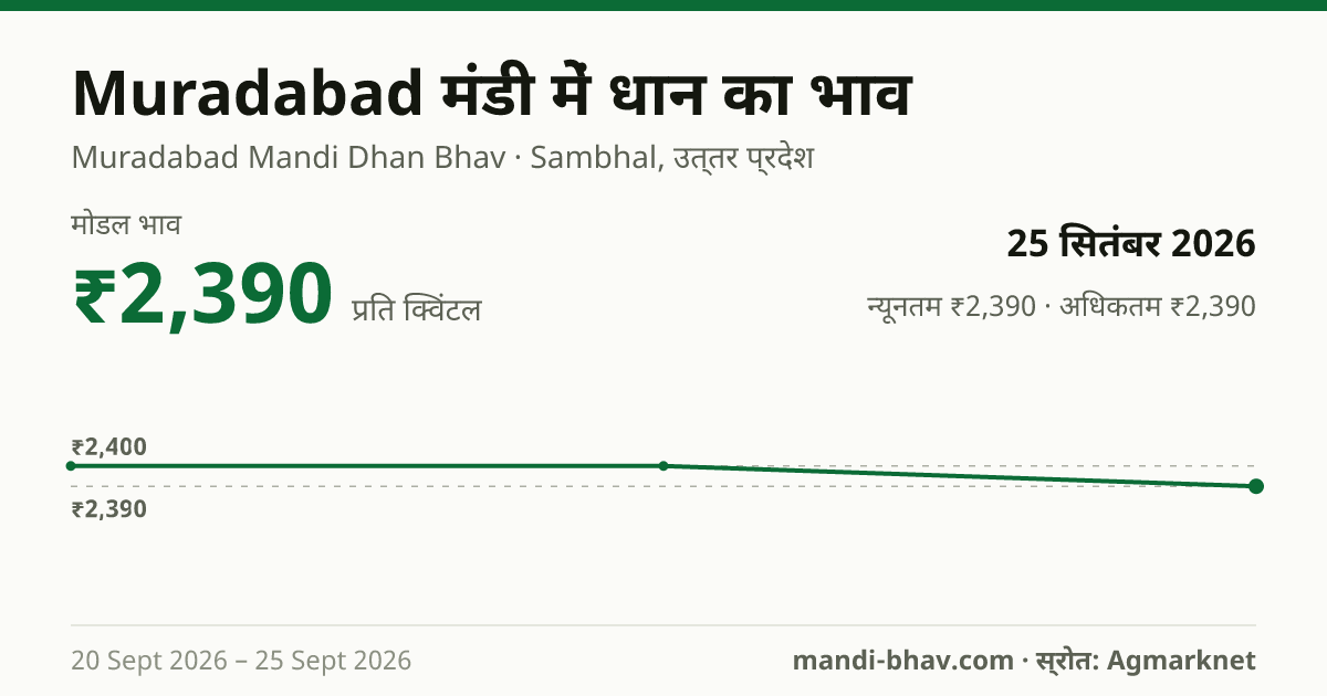 Muradabad मंडी में धान का भाव 25 सितंबर 2026: मोडल ₹2,390 प्रति क्विंटल, भाव के रुझान का चार्ट
