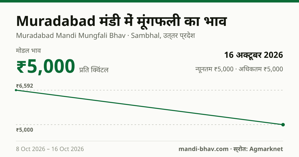 Muradabad मंडी में मूंगफली का भाव 16 अक्टूबर 2026: मोडल ₹5,000 प्रति क्विंटल, भाव के रुझान का चार्ट