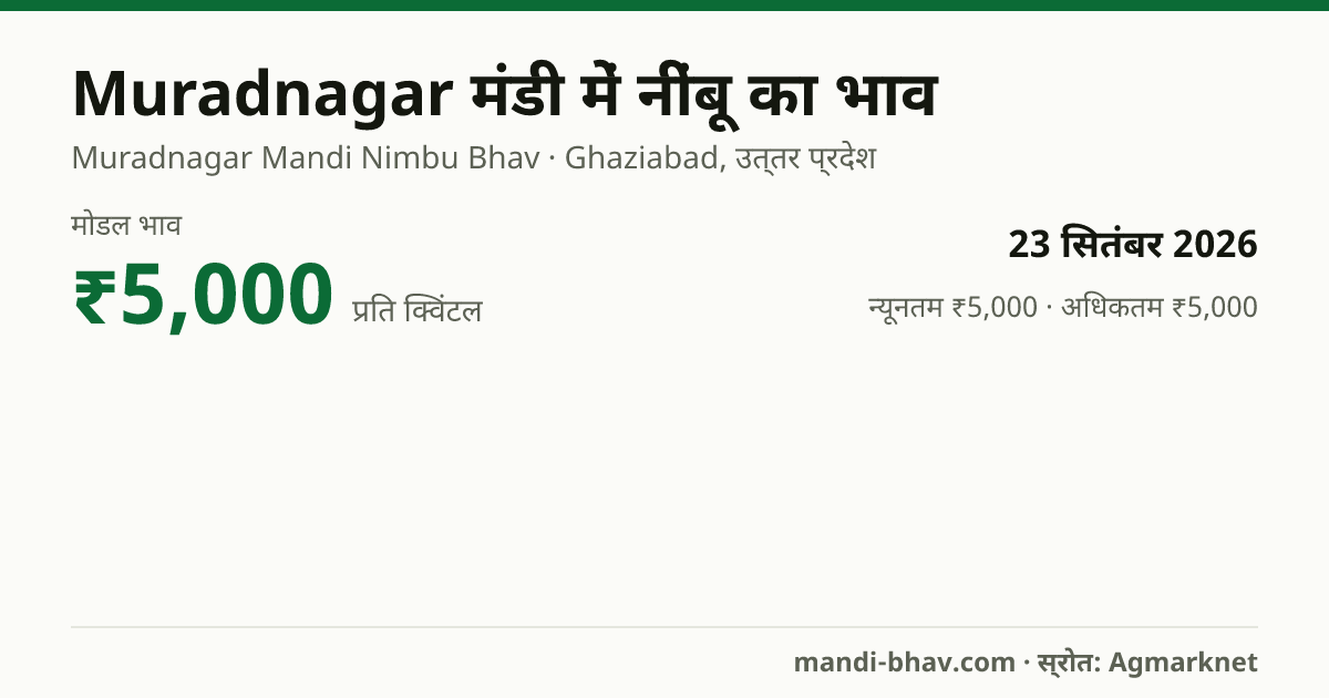 Muradnagar मंडी में नींबू का भाव 23 सितंबर 2026: मोडल ₹5,000 प्रति क्विंटल, भाव के रुझान का चार्ट