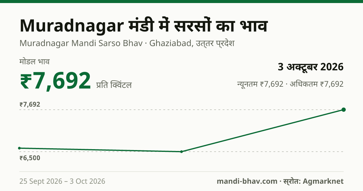 Muradnagar मंडी में सरसों का भाव 3 अक्टूबर 2026: मोडल ₹7,692 प्रति क्विंटल, भाव के रुझान का चार्ट