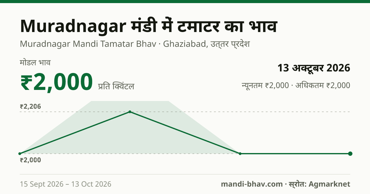 Muradnagar मंडी में टमाटर का भाव 13 अक्टूबर 2026: मोडल ₹2,000 प्रति क्विंटल, भाव के रुझान का चार्ट