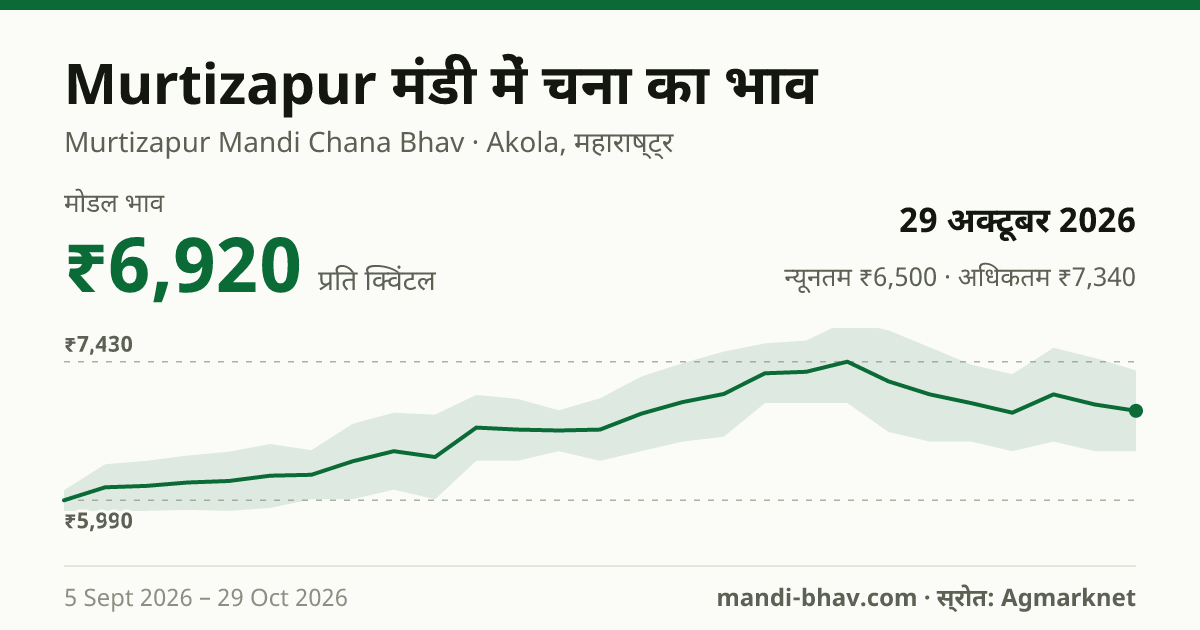 Murtizapur मंडी में चना का भाव 29 अक्टूबर 2026: मोडल ₹6,920 प्रति क्विंटल, भाव के रुझान का चार्ट