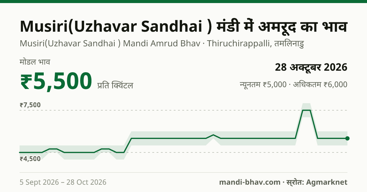 Musiri(Uzhavar Sandhai ) मंडी में अमरूद का भाव 28 अक्टूबर 2026: मोडल ₹5,500 प्रति क्विंटल, भाव के रुझान का चार्ट