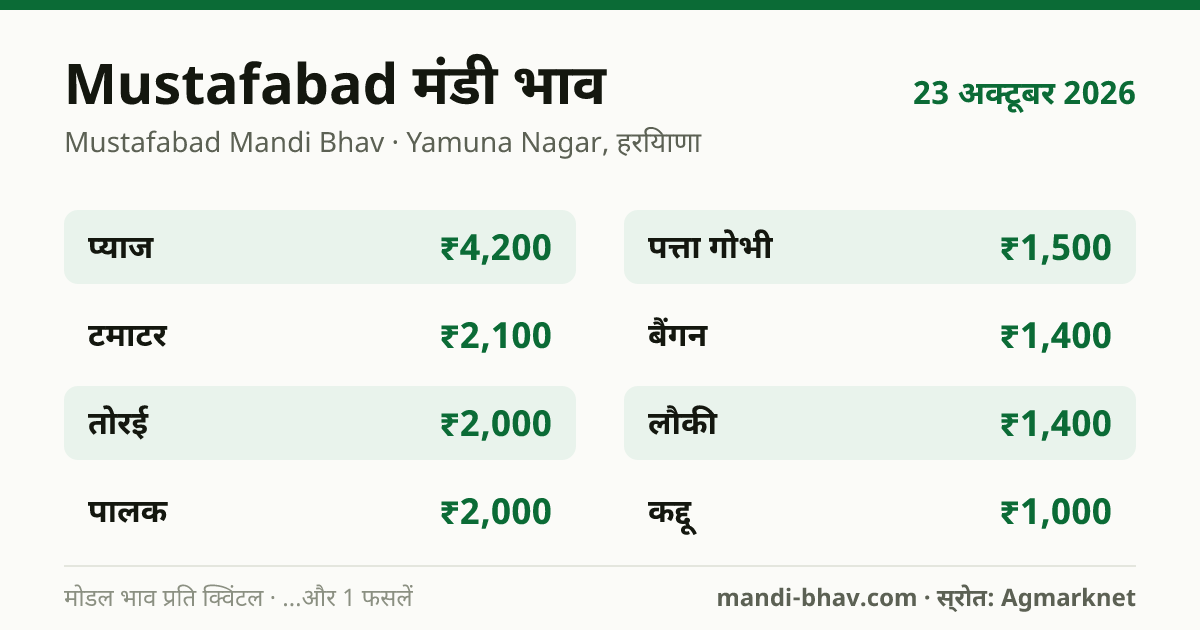 Mustafabad मंडी भाव 23 अक्टूबर 2026: फसलवार मोडल रेट प्रति क्विंटल