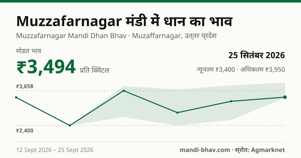 Muzzafarnagar मंडी में धान का भाव 25 सितंबर 2026: मोडल ₹3,494 प्रति क्विंटल, भाव के रुझान का चार्ट