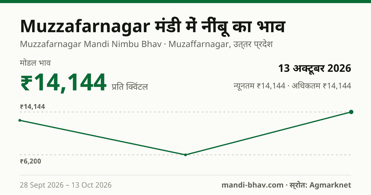 Muzzafarnagar मंडी में नींबू का भाव 13 अक्टूबर 2026: मोडल ₹14,144 प्रति क्विंटल, भाव के रुझान का चार्ट