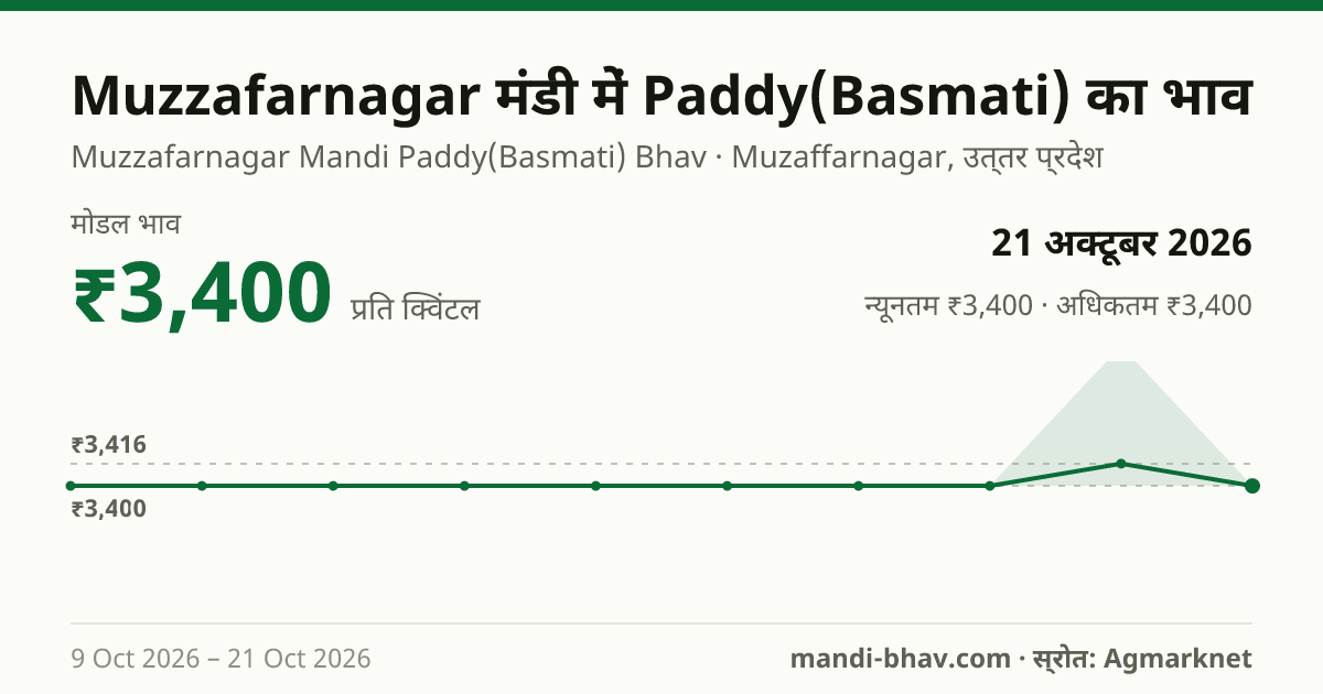 Muzzafarnagar मंडी में Paddy(Basmati) का भाव 21 अक्टूबर 2026: मोडल ₹3,400 प्रति क्विंटल, भाव के रुझान का चार्ट