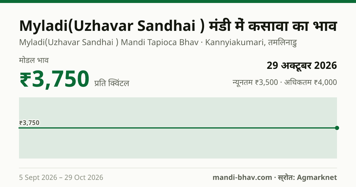 Myladi(Uzhavar Sandhai ) मंडी में कसावा का भाव 29 अक्टूबर 2026: मोडल ₹3,750 प्रति क्विंटल, भाव के रुझान का चार्ट