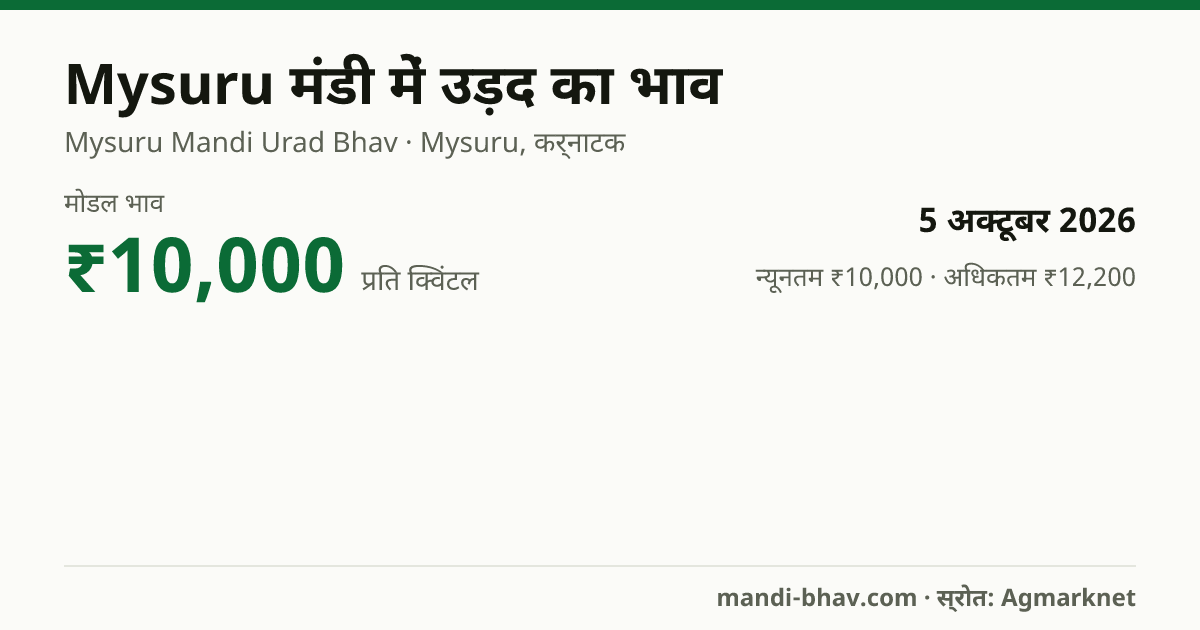 Mysuru मंडी में उड़द का भाव 5 अक्टूबर 2026: मोडल ₹10,000 प्रति क्विंटल, भाव के रुझान का चार्ट