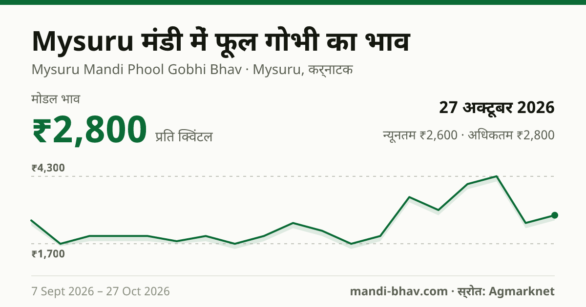 Mysuru मंडी में फूल गोभी का भाव 27 अक्टूबर 2026: मोडल ₹2,800 प्रति क्विंटल, भाव के रुझान का चार्ट