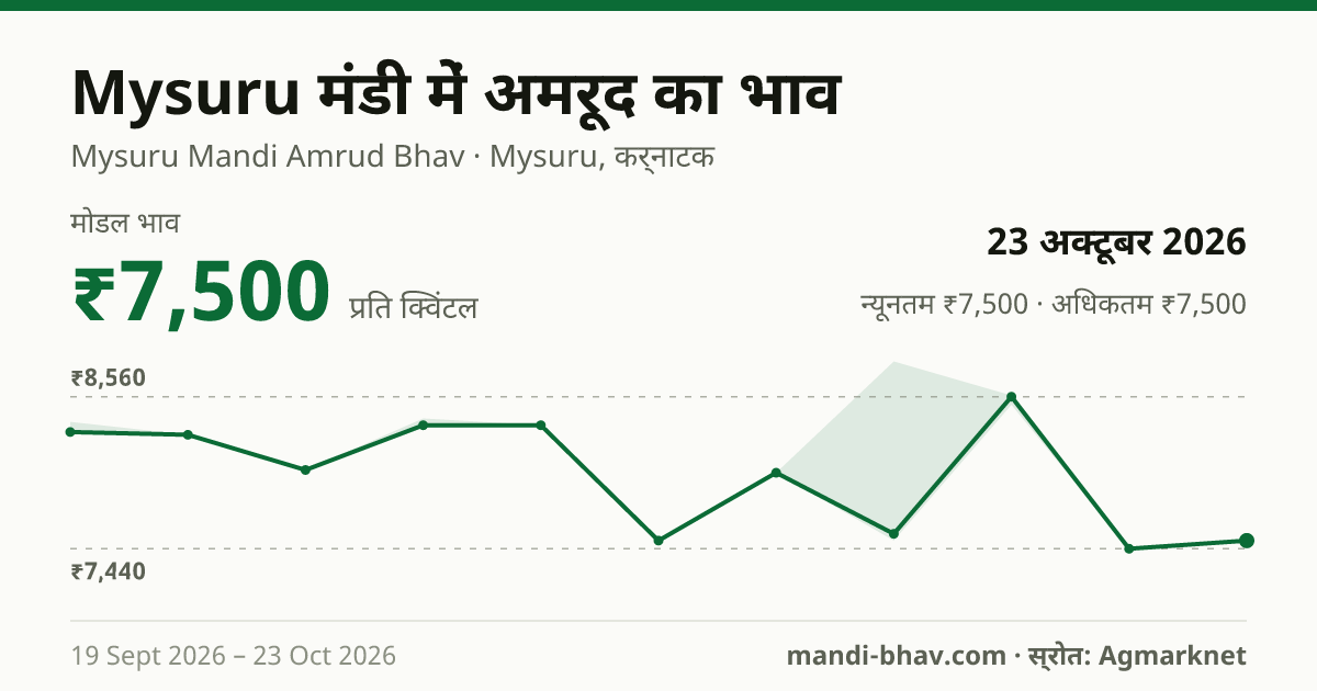 Mysuru मंडी में अमरूद का भाव 23 अक्टूबर 2026: मोडल ₹7,500 प्रति क्विंटल, भाव के रुझान का चार्ट